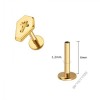 Piercing Titânio Gold Color G23 PVD Labret Rosca Interna Coffin Lid